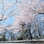 Laforet Shuzenji Sanshisuimei
