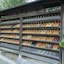 Shinzan