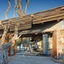 Tuningi Safari Lodge