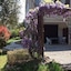 Le Patio Fleuri