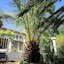 Les Jardins De Bormes, Adult-Only Hotel With Sauna & Jacuzzi