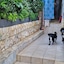 Vila Blu Inn