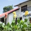 Boulevard Inn Mt Meru
