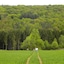 Auberge Du Sabotier