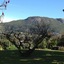 Paarl Nuwerus Lodge