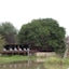 Gomo Gomo Game Lodge