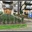 Pelicanstay in Burnaby Lake