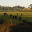 Courtbrook Farm