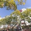 São Bento Gallery Apartment