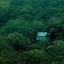 Wayanad Wild Rainforest Lodge By Cgh Earth