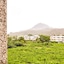 Sun Giraffe Taitung B&B