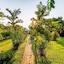 Dzimbahwe Guest Lodge