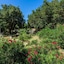 Campo Di Mare