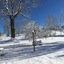 Le Tillau