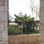 Apartment Ocean Front Praia Estoril