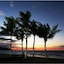 Nexus Residence - Beach Villa 360