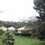 Flamingo Safari Lodge