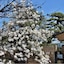 Inagaki Onsen Hotel Kagetsutei