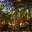 Bella Anand Resort