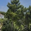 Villa Tamara