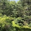 Moose Lodge And Cabins By Bretton Woods Vacations