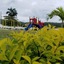 La Casa De Playa Ocho Rios