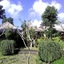 Astawa House
