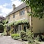 The Vines