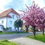 Amadeus Villa