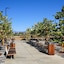 Hampton Inn San Jose Cherry Ave