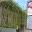Front One Resort Magelang