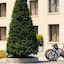 Best Western Titian Inn Hotel Treviso