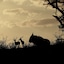 African Spirit Game Lodge