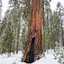 Hampton Inn Oakhurst-Yosemite