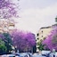 Roma Trastevere Relais Guest House