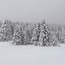 Folgaria