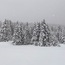 Folgaria