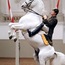 Spanish Riding School