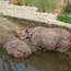 Zoo Basel