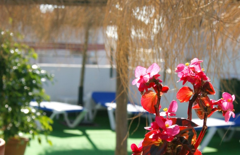 Piscine - 3