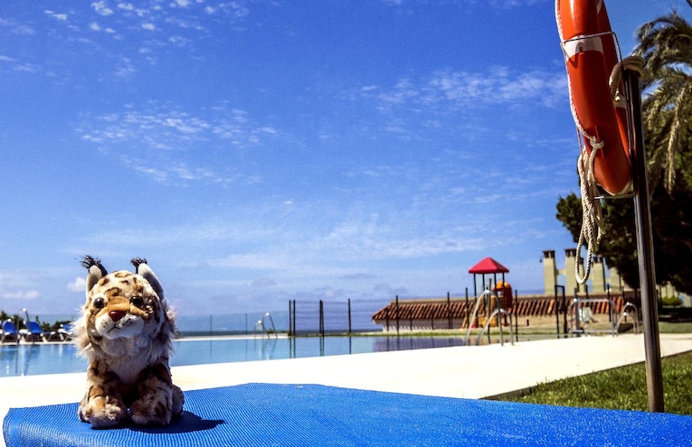 Piscine - 1
