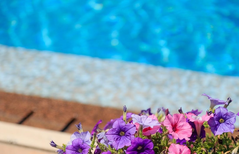 Piscine - 4