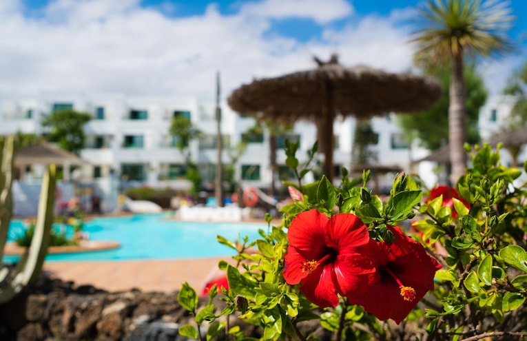 Piscine - 1