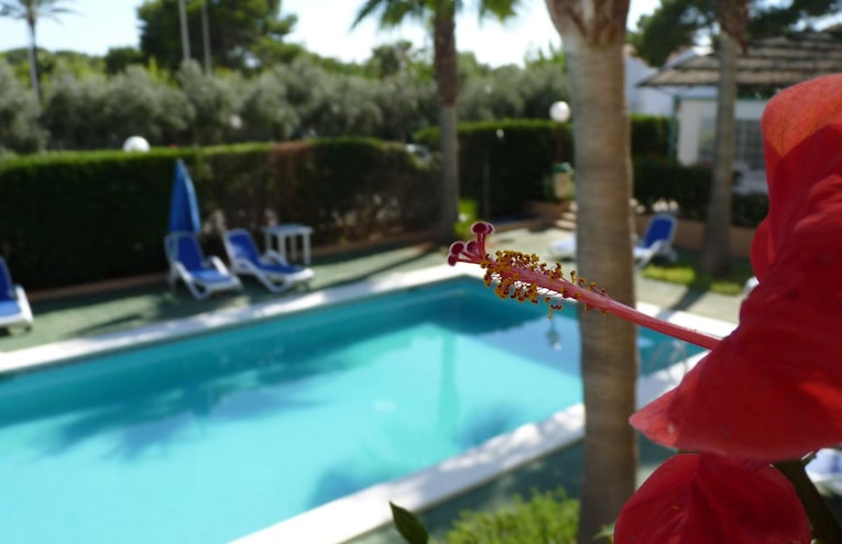 Piscine - 2