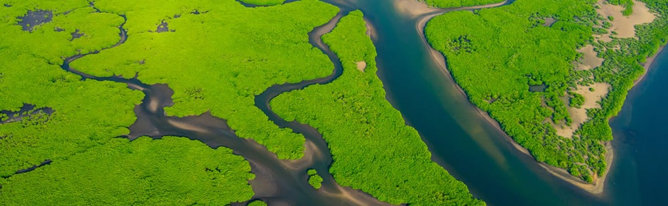 Itinerario della crociera Da Manaus (Brasile) a Santarem (Brasil) - CroisiEurope