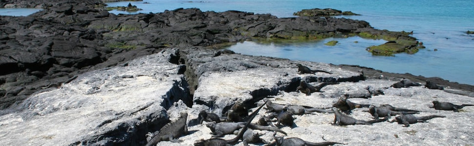 Itinerario della crociera Isole Galapagos - Celebrity Cruises