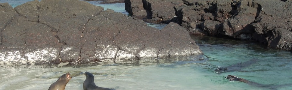 Itinerario della crociera Isole Galapagos - Silversea