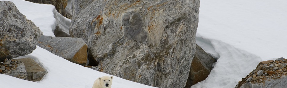 Itinerario della crociera LE BOREAL desde Longyearbyen, Spitsbergen - Ponant