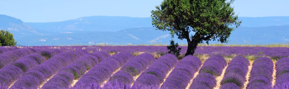 Itinerario della crociera Francia, Spagna - Silversea