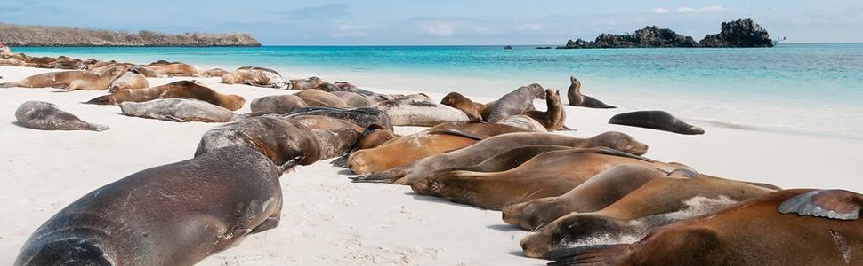 Itinerario della crociera Isole Galapagos - Celebrity Cruises